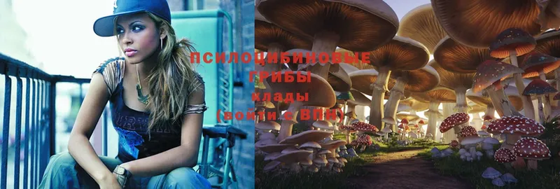 Галлюциногенные грибы MAGIC MUSHROOMS  где найти наркотики  Воскресенск 